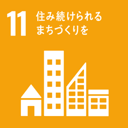 SDG 11