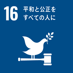 SDG 16